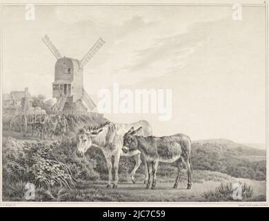 Près du moulin, un homme marche avec une voiturette avec deux chevaux devant lui. Cet imprimé fait partie d'une couverture avec six imprimés, deux ânes dans un paysage près d'un moulin six dessins en pierre par L. de Koningh , imprimerie: Leendert de Koningh, (mentionné sur l'objet), imprimeur: Hilmar Johannes Backer, (mentionné sur l'objet), éditeur: Hilmar Johannes Backer, (mentionné sur l'objet), Dordrecht, 1833, papier, h 275 mm × l 385 mm Banque D'Images