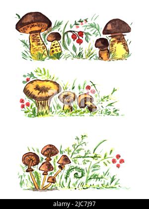 Ensemble d'aquarelles de champignons dans l'herbe de la forêt avec des canneberges, isolées sur un fond blanc Banque D'Images