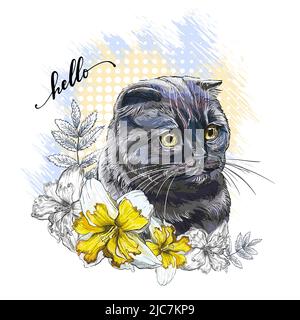 Tête de chat et fleurs écossais de pliage. Bonjour citation lettrage. Imprimé dessiné à la main. Illustration vectorielle isolée sur fond blanc. T-shirt compositi Illustration de Vecteur