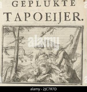 Page de titre de la brochure : la tapisserie choisie, 1702. Un Indien en chute libre (tapoeijer) est attaqué par un aigle et un cafatoo. L'Indien (France) qui a essayé de prendre le parapet pour son or (Portugal et ses possessions en Amérique) mais tombe de l'arbre et meurt. Tous les autres oiseaux viennent récupérer leurs plumes que l'Indien avait déjà volées. Page de titre de la brochure: La tapisserie pluchée, 1702 la tapisserie pluchée Esopus en Europe , imprimerie: Romeyn de Hooghe, pays-Bas du Nord, 1702, papier, gravure, impression typographique, h 175 mm × l 140 mm Banque D'Images