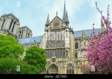 La Cathédrale Notre Dame Banque D'Images