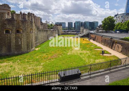 Londres, Royaume-Uni. 10th juin 2022. L'exposition florale Superbloom est visible autour de la Tour de Londres. Pour marquer le Jubilé de platine de Queenís, plus de 20 millions de graines de fleurs ont été plantées dans la lande autour de la Tour de Londres dans le but de créer un spectacle floral et d'attirer des pollinisateurs. Le temps inattendu, cependant, a conduit à des fleurs en fleurs plus tard que prévu. Crédit : SOPA Images Limited/Alamy Live News Banque D'Images