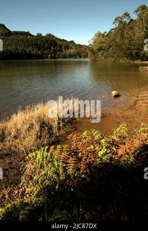 Le lac Pengilon, un lac d'eau douce des hautes terres situé sur le plateau de Dieng, qui est administrativement situé à Dieng Weta, Kejajar, Wonosobo, Central Java, Indonésie. Banque D'Images