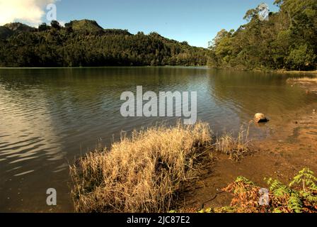 Le lac Pengilon, un lac d'eau douce des hautes terres situé sur le plateau de Dieng, qui est administrativement situé à Dieng Weta, Kejajar, Wonosobo, Central Java, Indonésie. Banque D'Images