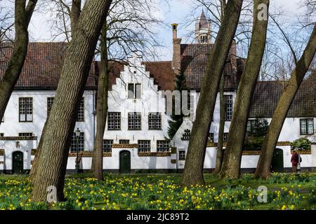 Vue sur le Begijnhof Brugge - le Béguinage princier du vignoble - un complexe architectural qui a été créé pour abriter les béguines en 1245. Banque D'Images