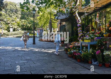 Extérieur d'un fleuriste avec des plantes en fleurs exposées sur le trottoir à Piazza Corvetto, Gênes, Ligurie, Italie Banque D'Images