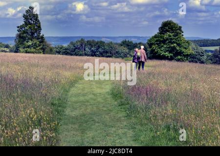 Marcheurs traversant une prairie anglaise de fleurs sauvages dans le Kent, Royaume-Uni Banque D'Images