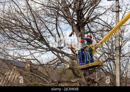 Krasnodar, Russie - 14 mars 2018 : les électriciens coupent des branches sur un arbre avec une tronçonneuse, en nettoyant les fils électriques à une hauteur sur une antenne hydraulique p Banque D'Images