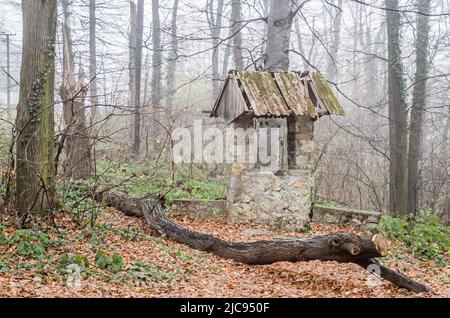 Parc national de Fruška gora près de Novi Sad par le brouillard, en hiver. Banque D'Images