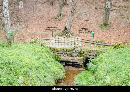 Parc national de Fruška gora près de Novi Sad par le brouillard, en hiver. Banque D'Images