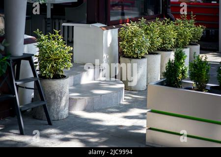 entrée en céramique avec carrelage, entrée avec pots de fleurs en béton et brousse verdoyante, gros plan sur l'architecture urbaine le jour ensoleillé à l'ombre Banque D'Images