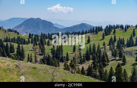 Une photo du paysage de Velika Planina, ou plateau de la Grande Pature. Banque D'Images