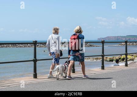 Sidmouth, East Devon, Royaume-Uni. 11th juin 2022. Météo au Royaume-Uni : des sorts chauds et ensoleillés et une brise vive dans la ville balnéaire de Sidmouth cet après-midi. Les vacanciers et les habitants de la région ont visité la jolie ville de regency pour profiter d'une promenade le long de l'esplanade. Credit: Celia McMahon/Alamy Live News Banque D'Images