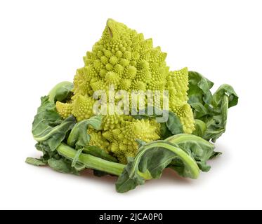 chemin de brocoli romanesco isolé sur blanc Banque D'Images