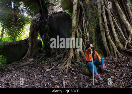 Une femme trekking dans la forêt tropicale du nord de la Thaïlande est assise près d'une silhouette naturelle en forme d'éléphant faite par un rocher et un arbre. Banque D'Images