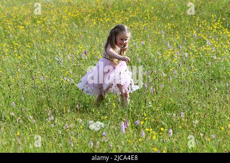 Jeune fille jouant dans un pré de fleurs et de graminées sauvages, y compris des milliers d'orchidées sauvages dans la réserve naturelle de Lodge Field Banque D'Images