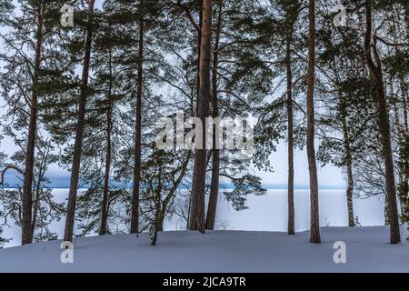 Paysage d'hiver estonien avec lac gelé et forêt Banque D'Images