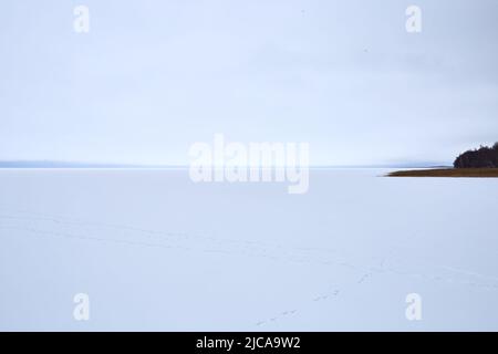 Paysage d'hiver estonien avec lac gelé et forêt Banque D'Images