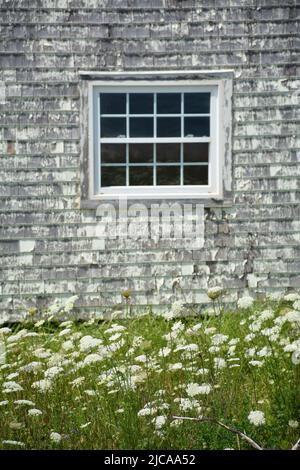 Fenêtre et parement jaune dans l'ancien bâtiment de bord de mer Banque D'Images