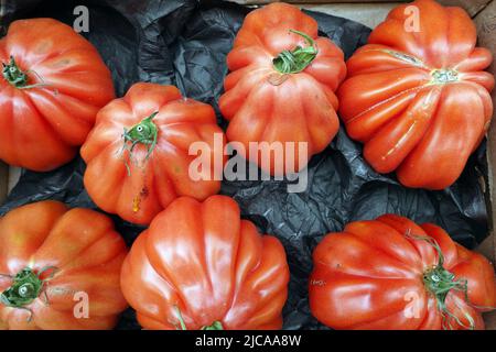 Im Bältigen (Solanum lycopersicum) im Gemüsegeschäft Banque D'Images