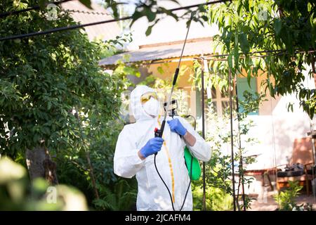 Le processus de traitement des plantes avec des pesticides. Fermier en costume de protection et masque marchant dans le verger avec la machine de pollinisateur sur son dos et spr Banque D'Images