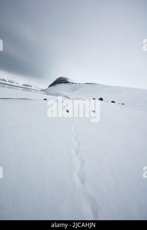 Des pistes d'animaux dans la neige menant à une cabine solitaire au-dessous d'une montagne sur Svalbard, Norvège Banque D'Images