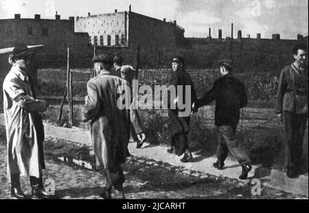 Le début du soulèvement de Varsovie. Stanisław Bąk 'Burza' (à gauche), dans la rue Karolkowa, accueille d'autres insurgés de Batalion Pięść se rassemblant au cimetière évangélique de 1 août avant le début de l'insurrection. Le soulèvement de Varsovie a été une tentative massive de l'Armée de l'intérieur polonaise de vaincre l'occupation Wehrmacht et SS vers la fin de WW2. Banque D'Images