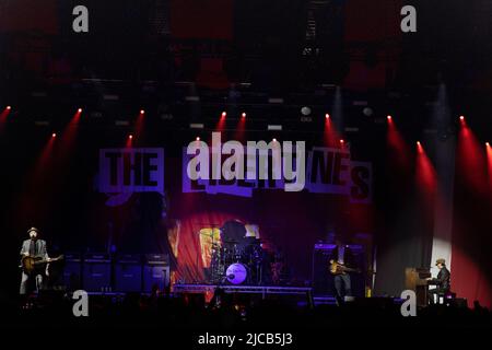 The Libertines play Rock N Roll Circus, Newcastle, 11th juin 2022 crédit Jill O'Donnell / Alamy Live News Banque D'Images