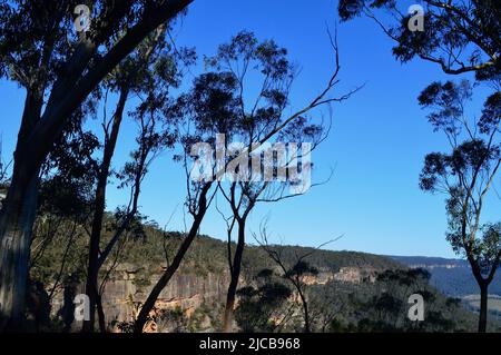 Vue depuis le point de vue de Mitchell Pass au Mont Victoria, dans les Blue Mountains d'Australie Banque D'Images