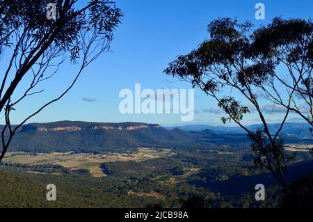 Vue depuis le point de vue de Mitchell Pass au Mont Victoria, dans les Blue Mountains d'Australie Banque D'Images