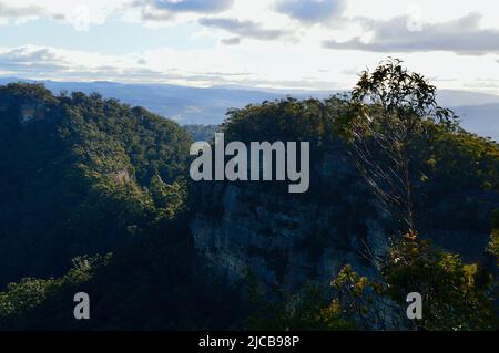 Vue depuis le point de vue de Mitchell Pass au Mont Victoria, dans les Blue Mountains d'Australie Banque D'Images