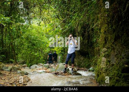 Homme blanc prenant des photos au milieu de la nature et portant un T-shirt blanc avec un léopard et un message « Save the Animals » Banque D'Images