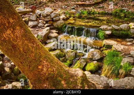 Cascades en cascade sur de petites roches mousseuses avec tronc d'arbre en premier plan Banque D'Images