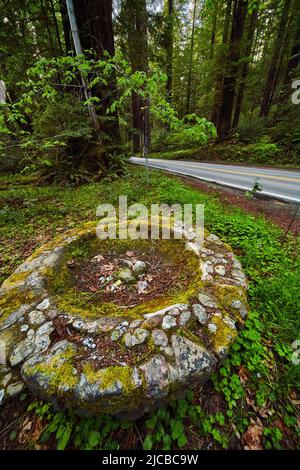 Ancienne cheminée en pierre dans le champ des trèfle par la route et forêt de séquoias Banque D'Images