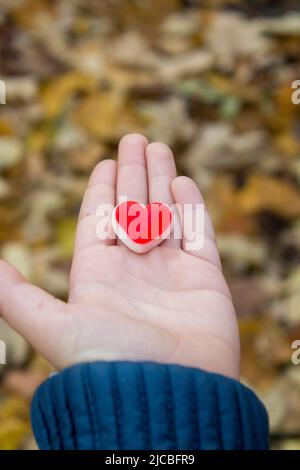 donner le cœur de l'enfant dans la paume de la main Banque D'Images