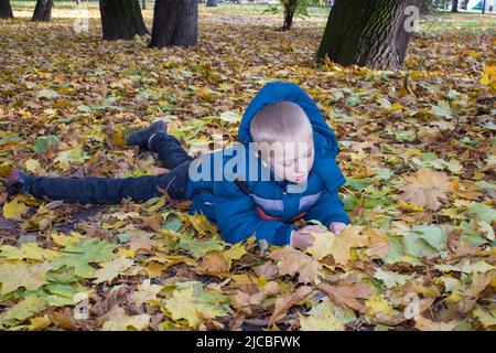 un garçon du parc d'automne allongé sur son ventre Banque D'Images