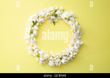 Pomme arbre fleur fleurs cadre circulaire, isolé sur fond jaune Banque D'Images