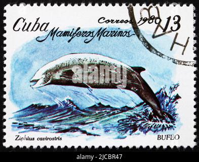 CUBA - VERS 1980 : un timbre imprimé à Cuba montre la baleine à bec de Cuvier, Ziphius Cavirostris, Marine Mammal, vers 1980 Banque D'Images