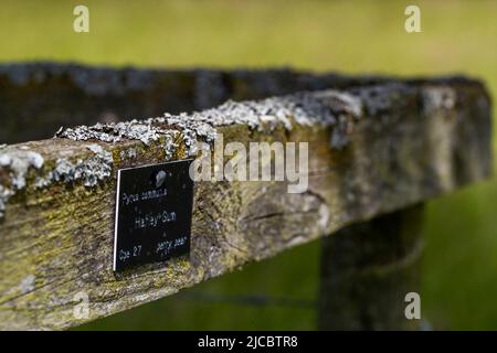 Hartpury Orchard Center. Banque D'Images