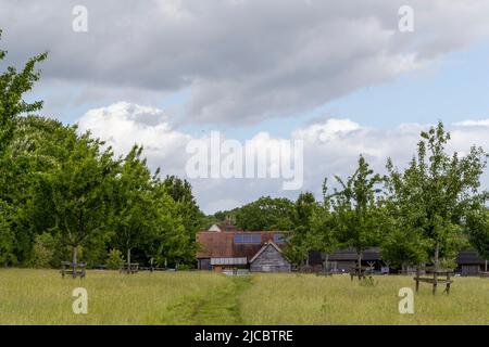 Hartpury Orchard Center. Banque D'Images