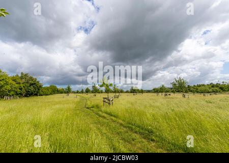 Hartpury Orchard Center. Banque D'Images