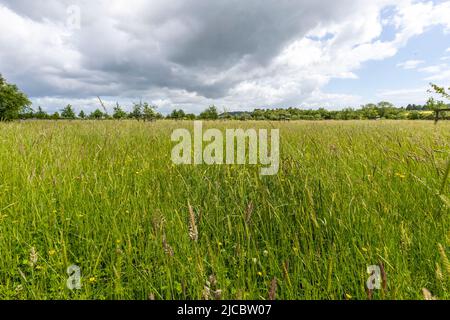 Hartpury Orchard Center. Banque D'Images