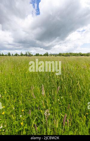 Hartpury Orchard Center. Banque D'Images