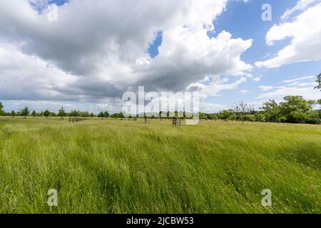 Hartpury Orchard Center. Banque D'Images