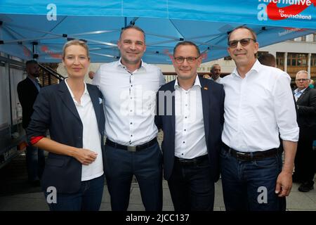 Alice Weidel, Sebastian Wippel, Tino Chuballa und Jörg Urban beim Landratswahlkampf für Sebastian Wippel auf dem Marienplatz. Görlitz, 11.06.2022 Banque D'Images