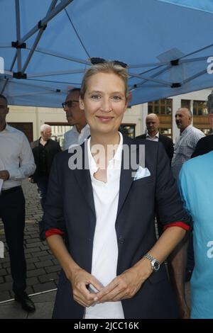 Alice Weidel beim Landratswahlkampf für Sebastian Wippel am Marienplatz. Görlitz, 11.06.2022 Banque D'Images