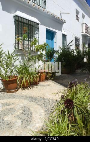 Frigiliana, Nerja, Espagne. Fleurit dans une allée historique traditionnelle au coeur du village mauresque. Prise de vue au format portrait. Banque D'Images