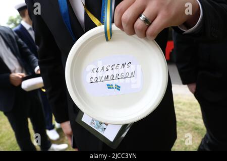 Les étudiants heureux pendant la remise des diplômes de vendredi (en suédois: Studenten) à Mjölby, en Suède. Banque D'Images