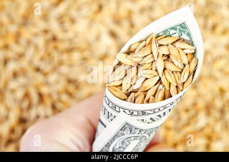 Homme tenant dans sa main Un billet d'un dollar roulé avec des grains d'orge arrosé dans lui sur un fond de grains Banque D'Images