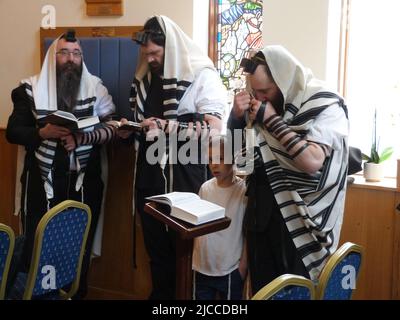 Un juif chasidique avec d'autres membres de la communauté Lubavitch cultive pendant un service de jour de semaine, lorsque des hommes juifs orthodoxes mettent du tephilim sur leur bras et leur tête, accompagnés de son jeune fils dans la synagogue Solihull, West Midlands Banque D'Images